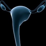 Sexual Health related image